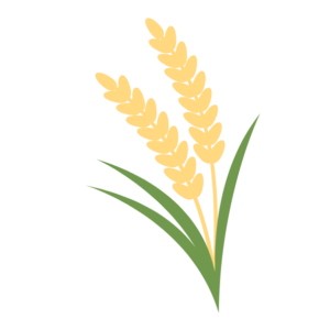 Agroalimentaire & Cosmétique